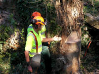 WRG Forestry at Eisey Lock, T&S Canal