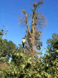 WRG Forestry at Eisey Lock, T&S Canal