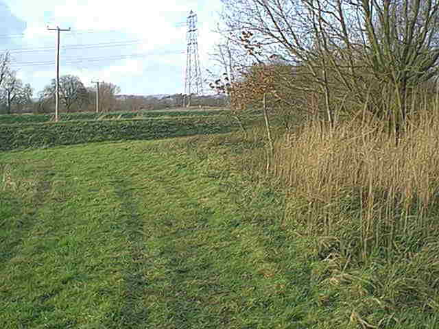 Frome from canal