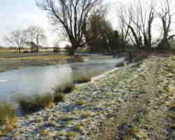 near latton bridge in water - T&S Canal