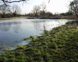 Latton Junction in water - T&S Canal