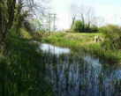 Approaching Wildmoorway Upper Lock from east