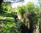 Wildmoorway Upper Lock